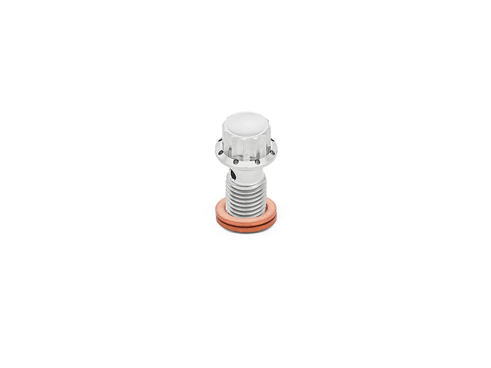 Titanium 12-Point 12mm M12 x 1.50 Banjo Bolt - Polished
