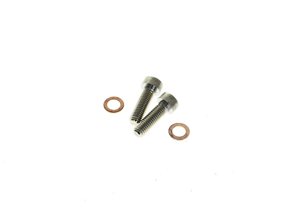 Damper Tube Screw & Washer Set. Fits Showa Forks, Most Big Twin 1975-2017 & Sportster 1987-2021