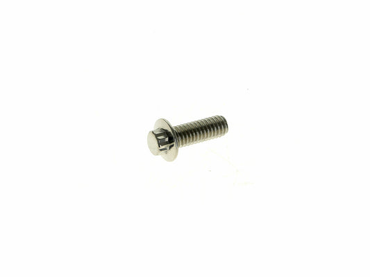 Front Disc Rotor Bolts - Polished Stainless 12 Point. 10x 5/16in.-18 x 1.0in.. Fits Most HD models 1984up.