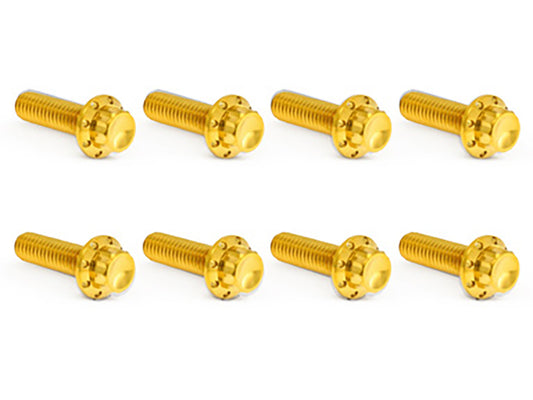 Titanium 12-Point Transmission Trap Door Cover Bolt Kit - Gold. Fits Touring 2017up & Softail 2018up