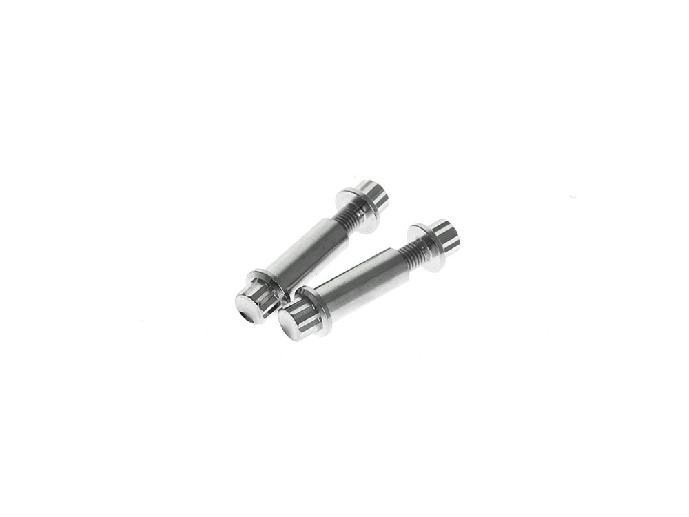 Titanium 12-Point Footpeg Mounting Hardware - Polished. Fits H-D Male Mount Footpegs