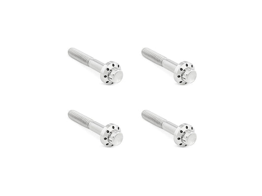 Titanium 12-Point Front Fender Mounting Hardware - Polished. Fits Touring 2009up