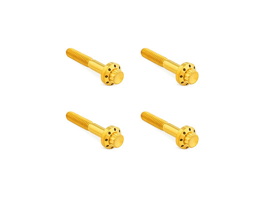 Titanium 12-Point Front Fender Mounting Hardware - Gold. Fits Touring 2009up