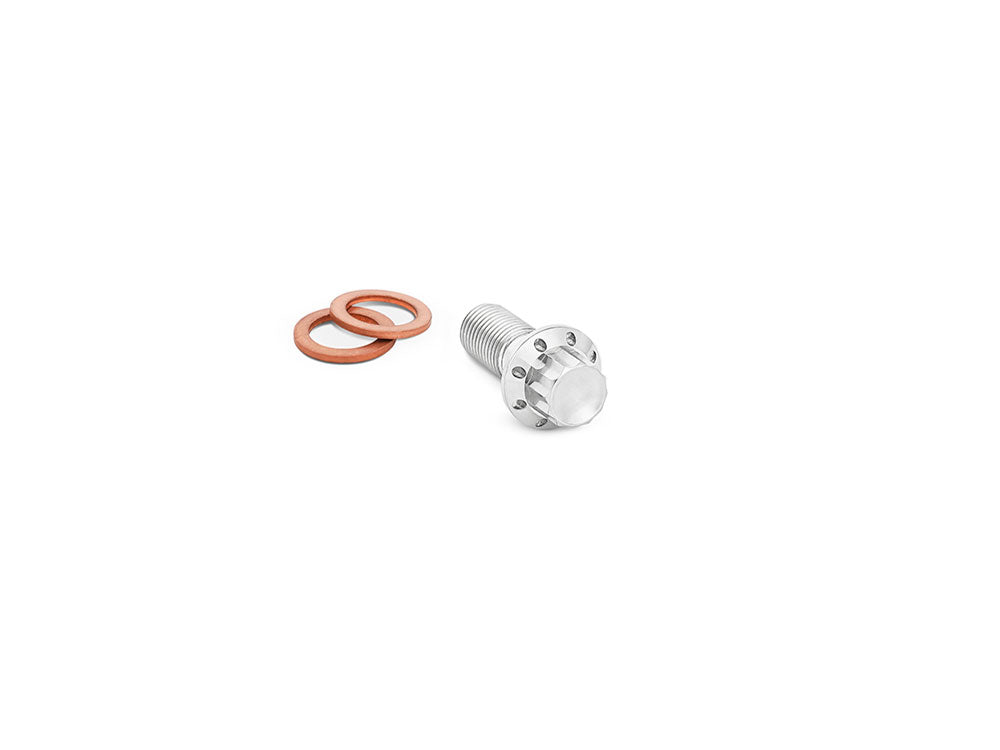 Titanium 12-Point 3/8in. Banjo Bolt - Polished