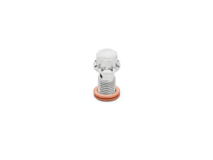 Titanium 12-Point 12mm M12 x 1.50 Banjo Bolt - Polished