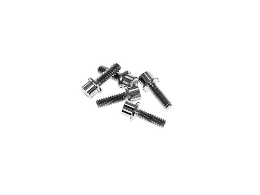 Titanium 12-Point Derby Cover Bolt Kit - Polished. Fits Softail 2018up
