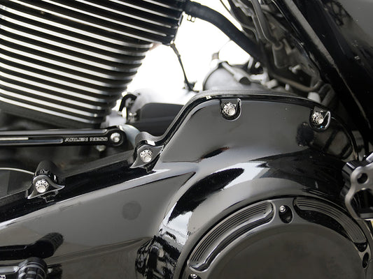 Titanium 12-Point Primary Cover Bolt Kit - Polished. Fits Softail 2007-2017 Non-240 Tyre Models & Touring 2017up