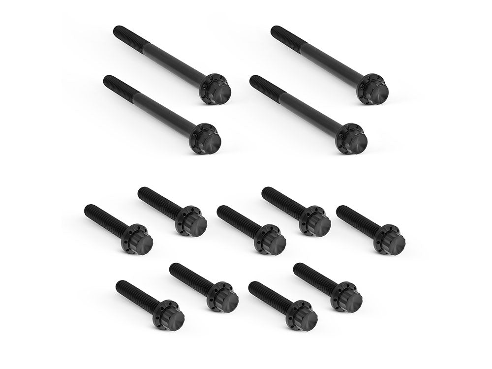 Titanium 12-Point Primary Cover Bolt Kit - Black. Fits Softail 2018up Non-240 Tyre Models