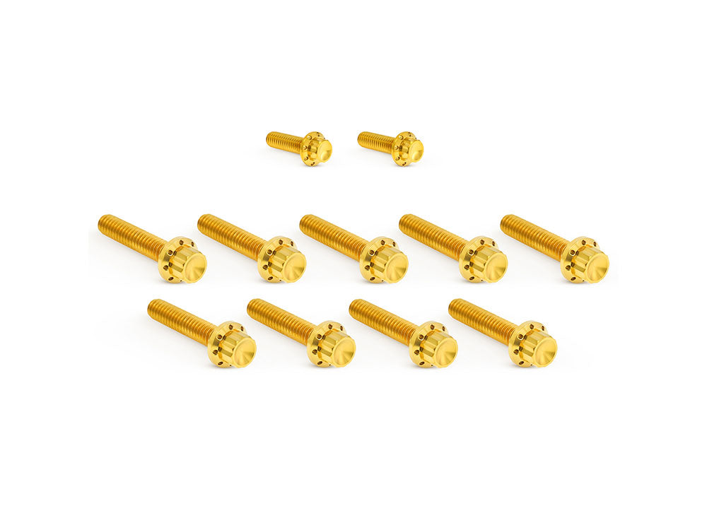 Titanium 12-Point Cam Cover Bolt Kit - Gold. Fits Most Touring 2017-2024 & Softail 2018-2024