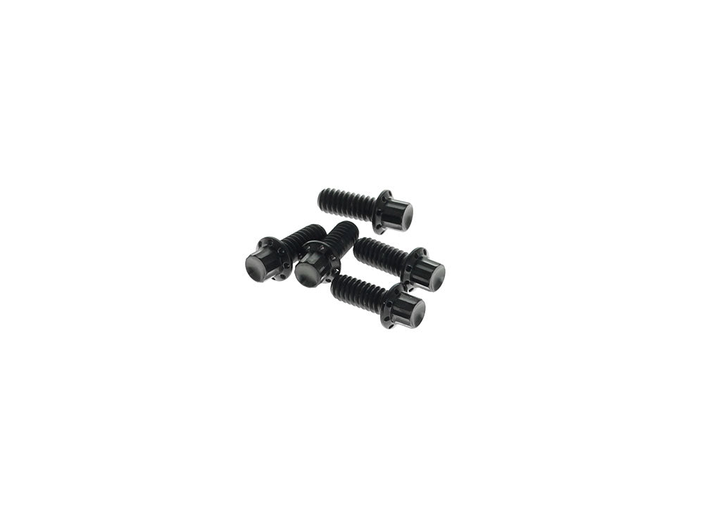 Titanium 12-Point Derby Cover Bolt Kit - Black. Fits Touring 2007up, Softail 2007-2017 & Dyna 2006-2017