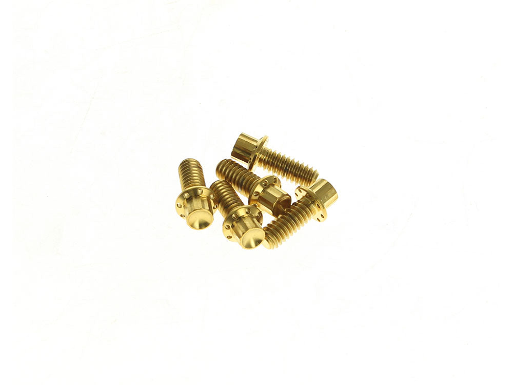 Titanium 12-Point Derby Cover Bolt Kit - Gold. Fits Touring 2007up, Softail 2007-2017 & Dyna 2006-2017