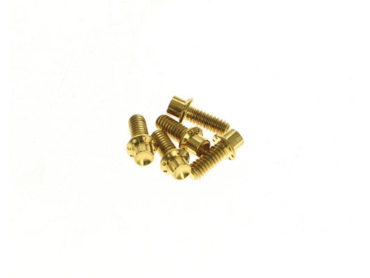 Titanium 12-Point Derby Cover Bolt Kit - Gold. Fits Touring 2007up, Softail 2007-2017 & Dyna 2006-2017