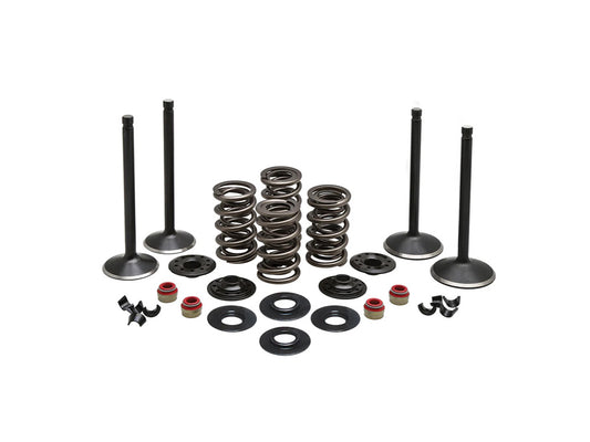 Valve & Spring Engine Kit. Fits 1200cc Sportster 1988-2003